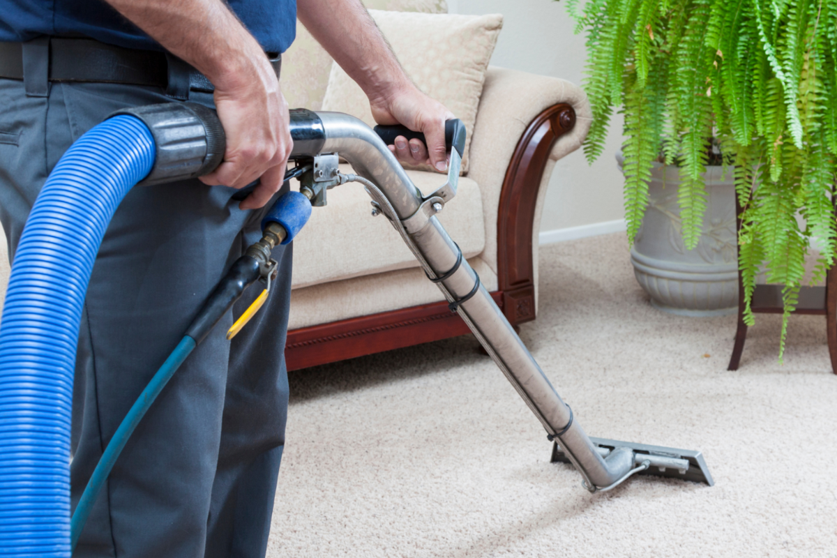 Carpets Professionally Cleaned at the End of Tenancy - Yes or No
